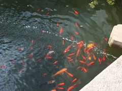 苏州文旅花间堂探花府-苏州文旅花间堂·探花府酒店