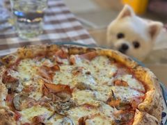 -Mammamia意大利餐厅(阳春巷店)