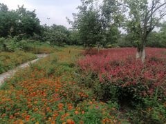 -成都中医药大学(温江校区)