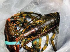 波士顿龙虾-盒马鲜生(皇庭广场店)