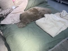 -宜家家居(高新商场店)