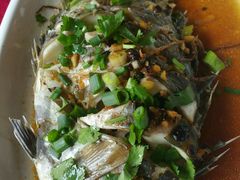 -台山美食一绝阿四台山黄鳝饭(阿四创作店)