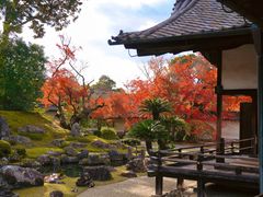 -醍醐寺