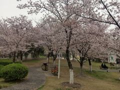 -堤角公园