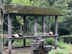 -碧峰峡风景区