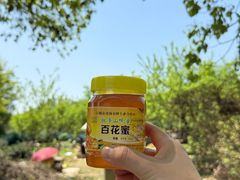 -敬亭山风景名胜区