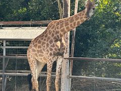 -泉州海丝野生动物世界