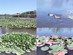 -前关湿地公园