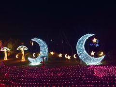 -琅岐红光湖公园