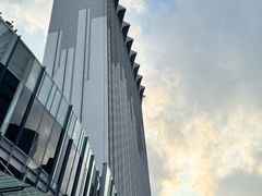 -新加坡乌节希尔顿酒店 (SG Clean)