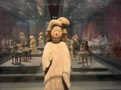 -陕西自然博物馆