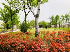 -菊园百果园