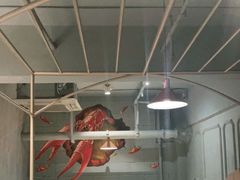 -香满堂川湘菜烤鱼(龙茗路店)