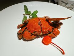 -吴越荣记·苏州菜·松鼠桂鱼(月光码头店)