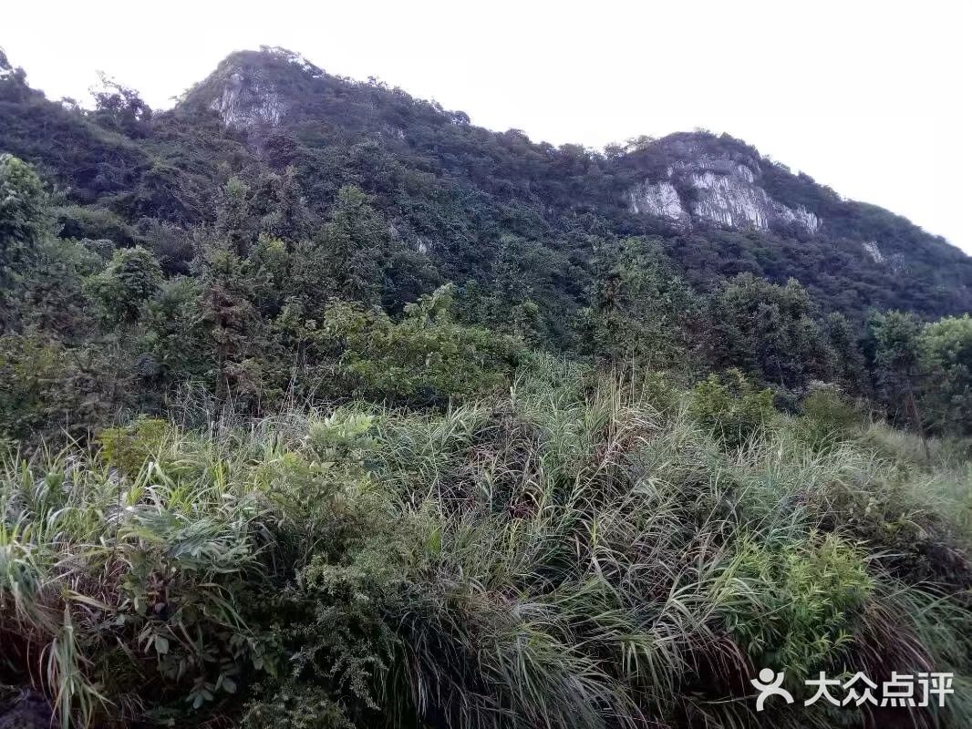 第一次去矿山公园时还是五六年前 那会小岛开了辆长安之