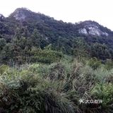 第一次去矿山公园时还是五六年前 那会小岛开了辆长安之