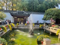 -上海醉白池公园