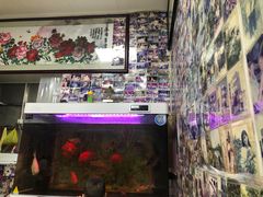 -小雨点糖水店(中兴街分店)