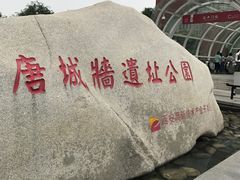 -唐城墙遗址公园