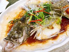 -北海渔村酒楼·粤菜海鲜点心(新华店)