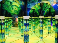 -天津梵高星空艺术馆(天河城旗舰店)