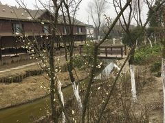 -董永七仙女文化园
