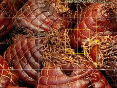 -傅记酱肉
