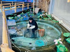 -火福·天湖阁大闸蟹博物馆主题餐厅(浅水湾店)