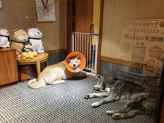 -大江户·温泉洗浴(浑南店)