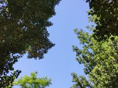 -蟠龙山长城景区