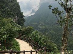 -鹿院坪生态旅游景区