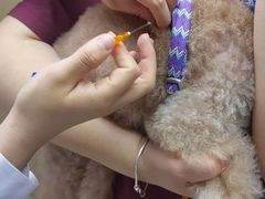 -宠颐生宠物医院·心肾内科·猫专科诊疗中心宠巢店