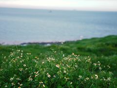 -漳州滨海火山岛自然生态风景区