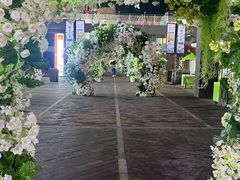 -青岛嘉年华主题乐园