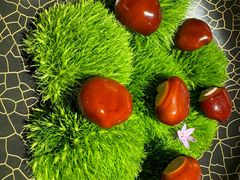 -鹿园 MOOSE(长宁店)