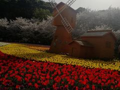 -苏州上方山国家森林公园