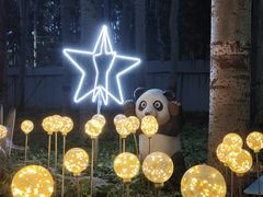 -枫花园汽车电影院(朝阳公园店)