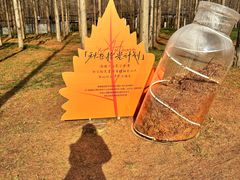 -黄海国家森林公园