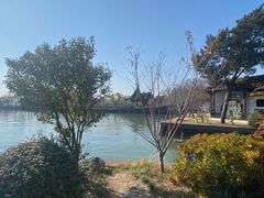 -无锡蠡湖国家湿地公园-蠡园