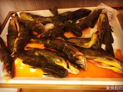 -融泽漁悦三只耳鱼火锅(南郑大道店)