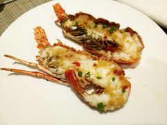 -Social 秀西餐厅-长沙瑞吉酒店(运达店)