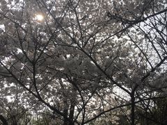 -褒河栈道渔庄(建工路总店)