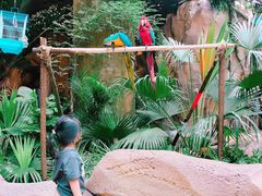 -杭州开元森泊度假乐园