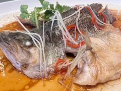清蒸鲈鱼-粤香村(清真川菜店)