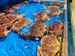 -七鲜超市(万向城店)