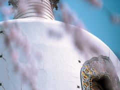 -北海公园