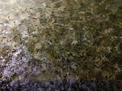 -明谷行馆·温泉