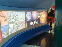 -上海昆虫博物馆