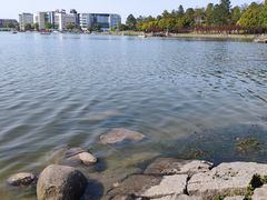 -美兰湖景区