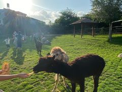 -泉州海丝野生动物世界